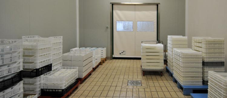 Nuova Frigotecnica Cremasca